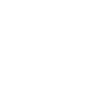 Fun Food Festival