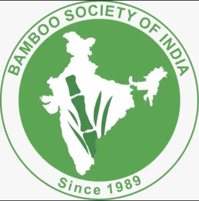 Bamboo